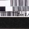 Leonhard Lapin “Presidendikoodid”, 2007/20a
